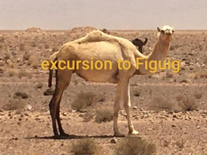Hotel Lahlou Riad Cafeteria Oujda Bagian luar foto